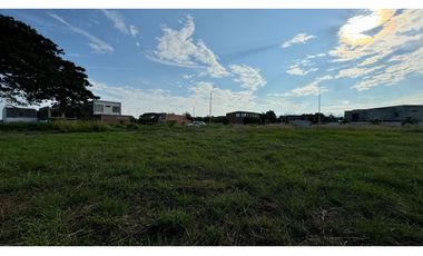Lote terreno de 15 x 20 en venta Rozo Palmira Valle Colombia