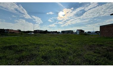 Lote terreno de 15 x 20 en venta Rozo Palmira Valle Colombia