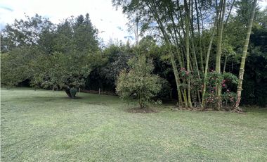 Finca independiente en La Ceja (cm)