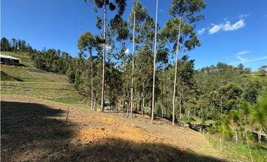 Vendo hermoso lote en Horizontes, El Retiro Antioquia