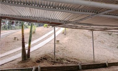FINCA CAMPESTRE EN VENTA SECTOR GAITAN - PEREIRA