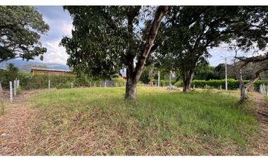 Lote esquinero en parcelación en venta Tienda Nueva Palmira Valle