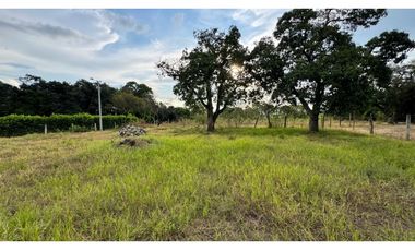 Lote esquinero en parcelación en venta Tienda Nueva Palmira Valle