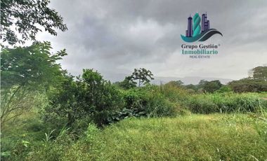 VENDO TRES HECTAREAS + ALTITUD DE 1345M.S.N.M. VOLCANCITO