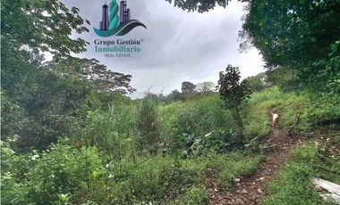 VENDO TRES HECTAREAS + ALTITUD DE 1345M.S.N.M. VOLCANCITO