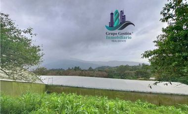 VENDO TRES HECTAREAS + ALTITUD DE 1345M.S.N.M. VOLCANCITO