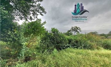 VENDO TRES HECTAREAS + ALTITUD DE 1345M.S.N.M. VOLCANCITO