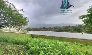 VENDO TRES HECTAREAS + ALTITUD DE 1345M.S.N.M. VOLCANCITO