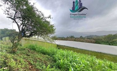 VENDO TRES HECTAREAS + ALTITUD DE 1345M.S.N.M. VOLCANCITO