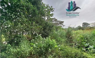 VENDO TRES HECTAREAS + ALTITUD DE 1345M.S.N.M. VOLCANCITO