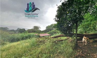 VENDO TRES HECTAREAS + ALTITUD DE 1345M.S.N.M. VOLCANCITO