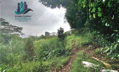 VENDO TRES HECTAREAS + ALTITUD DE 1345M.S.N.M. VOLCANCITO