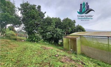 VENDO TRES HECTAREAS + ALTITUD DE 1345M.S.N.M. VOLCANCITO