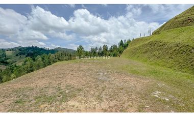 Venta de Lote en Parcelación Vía Don Diego - La Ceja