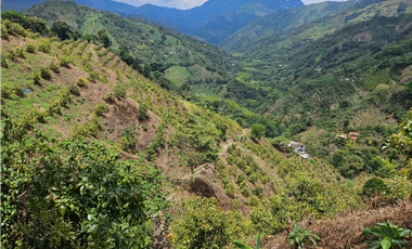 Venta Finca Genova Quindio COD: 8035924