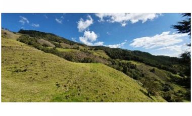 FINCA PARA PROYECTO MEDIANO IDEAL AGUACATES HASS