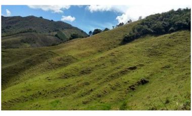 FINCA PARA PROYECTO MEDIANO IDEAL AGUACATES HASS