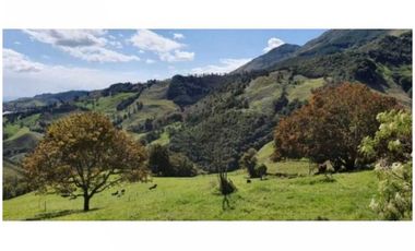 FINCA PARA PROYECTO MEDIANO IDEAL AGUACATES HASS