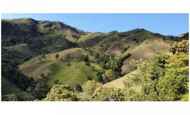 FINCA PARA PROYECTO MEDIANO IDEAL AGUACATES HASS