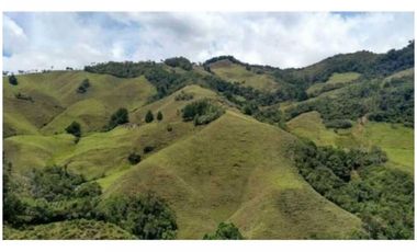 FINCA PARA PROYECTO MEDIANO IDEAL AGUACATES HASS