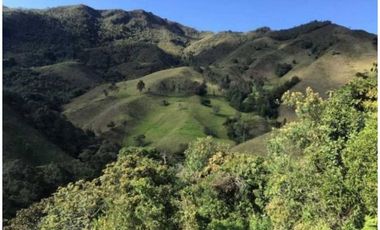 FINCA PARA PROYECTO MEDIANO IDEAL AGUACATES HASS