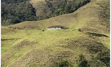 FINCA PARA PROYECTO MEDIANO IDEAL AGUACATES HASS