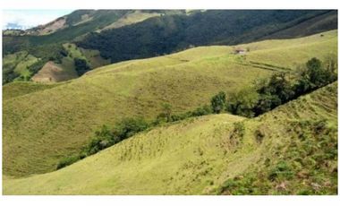 FINCA PARA PROYECTO MEDIANO IDEAL AGUACATES HASS