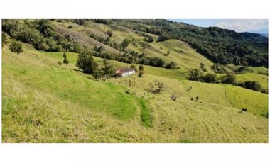 FINCA PARA PROYECTO MEDIANO IDEAL AGUACATES HASS