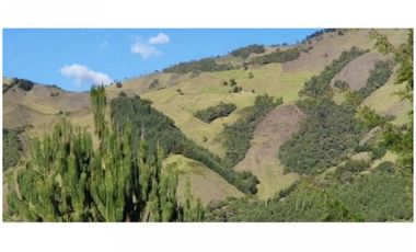 FINCA PARA PROYECTO MEDIANO IDEAL AGUACATES HASS