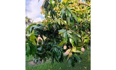 Finca en parcelación cerrada en venta Santa Elena El Cerrito Valle