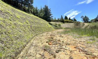 Lote hermoso en parcelacion mejor precio. Marinilla