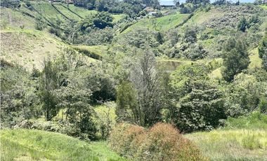 Lote hermoso en parcelacion mejor precio. Marinilla