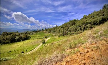 Venta Lote Alto Palmas Sin Peaje