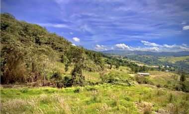 Venta Lote Alto Palmas Sin Peaje
