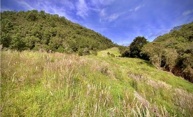 Venta Lote Alto Palmas Sin Peaje
