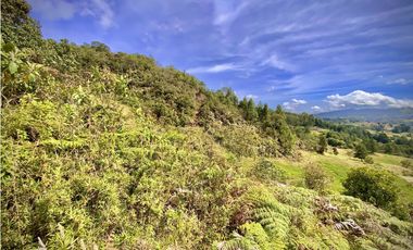 Venta Lote Alto Palmas Sin Peaje