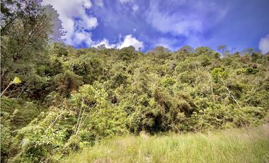 Venta Lote Alto Palmas Sin Peaje