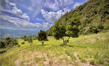Venta Lote Alto Palmas Sin Peaje