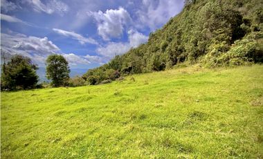 Venta Lote Alto Palmas Sin Peaje