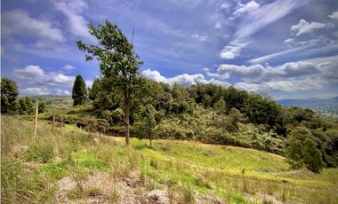 Venta Lote Alto Palmas Sin Peaje
