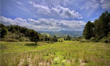 Venta Lote Alto Palmas Sin Peaje
