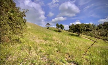Venta Lote Alto Palmas Sin Peaje