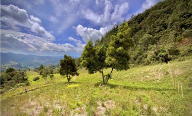 Venta Lote Alto Palmas Sin Peaje
