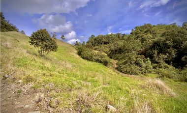 Venta Lote Alto Palmas Sin Peaje