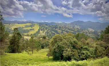 Venta Lote Alto Palmas Sin Peaje
