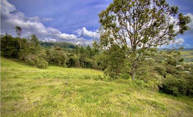 Venta Lote Alto Palmas Sin Peaje