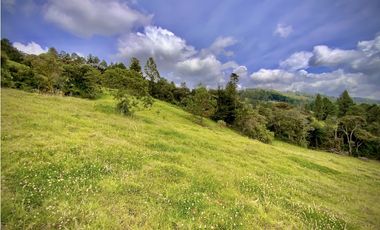 Venta Lote Alto Palmas Sin Peaje