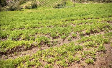 Venta Lote Alto Palmas Sin Peaje