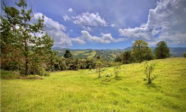 Venta Lote Alto Palmas Sin Peaje