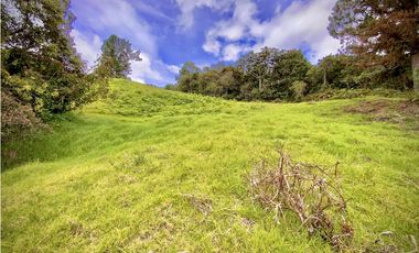 Venta Lote Alto Palmas Sin Peaje